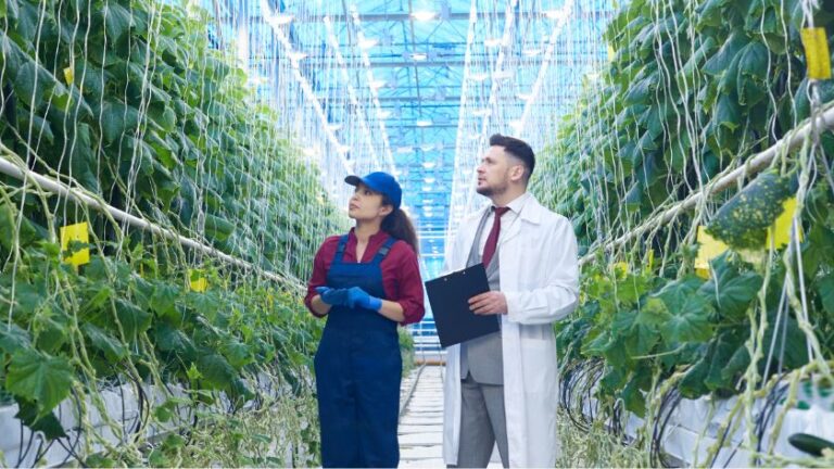 Identity Access Management implementation for AgriTech startup