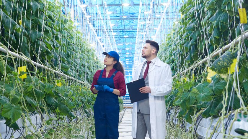 Identity Access Management implementation for AgriTech startup