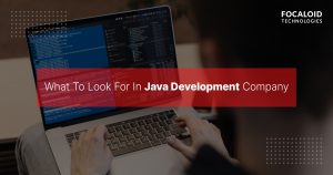 What To Look For In Java Development Company