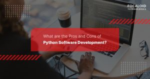 What are the Pros and Cons of Python Software Development?