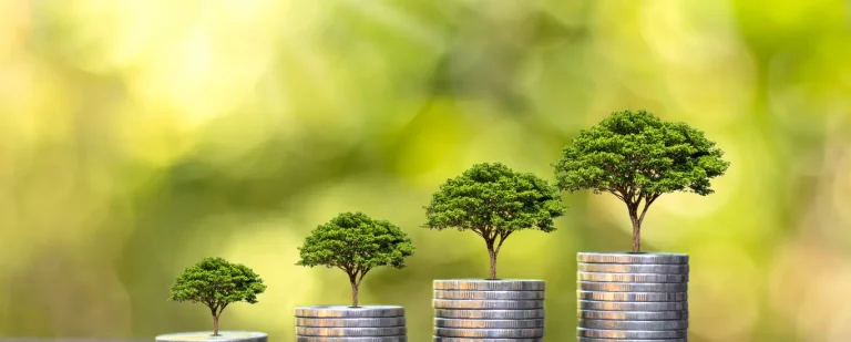 Winning Strategies for MGAs